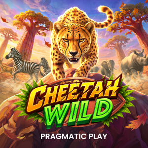 Cheetah Wild
